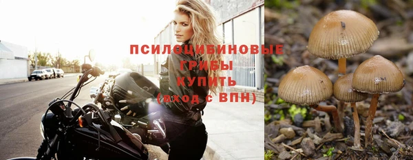 мяу мяу мука Алзамай