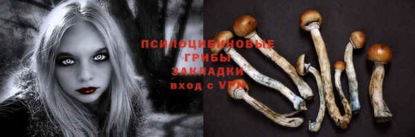 трава Покачи